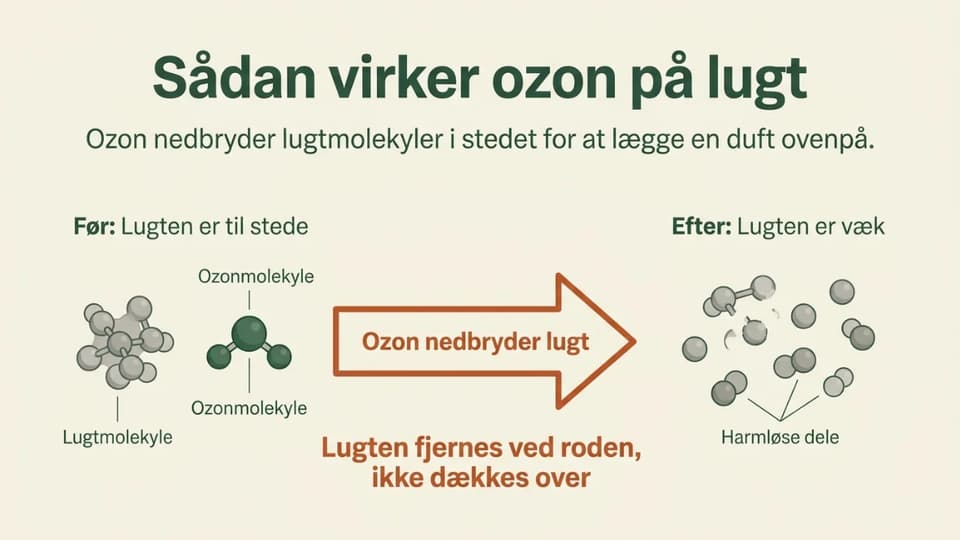 Et molekylediagram der viser ozon der binder sig til og nedbryder et lugtmolekyle.